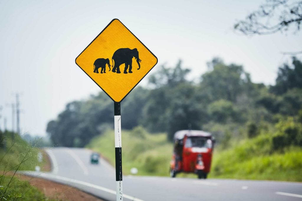 Elephant crossing warning sign