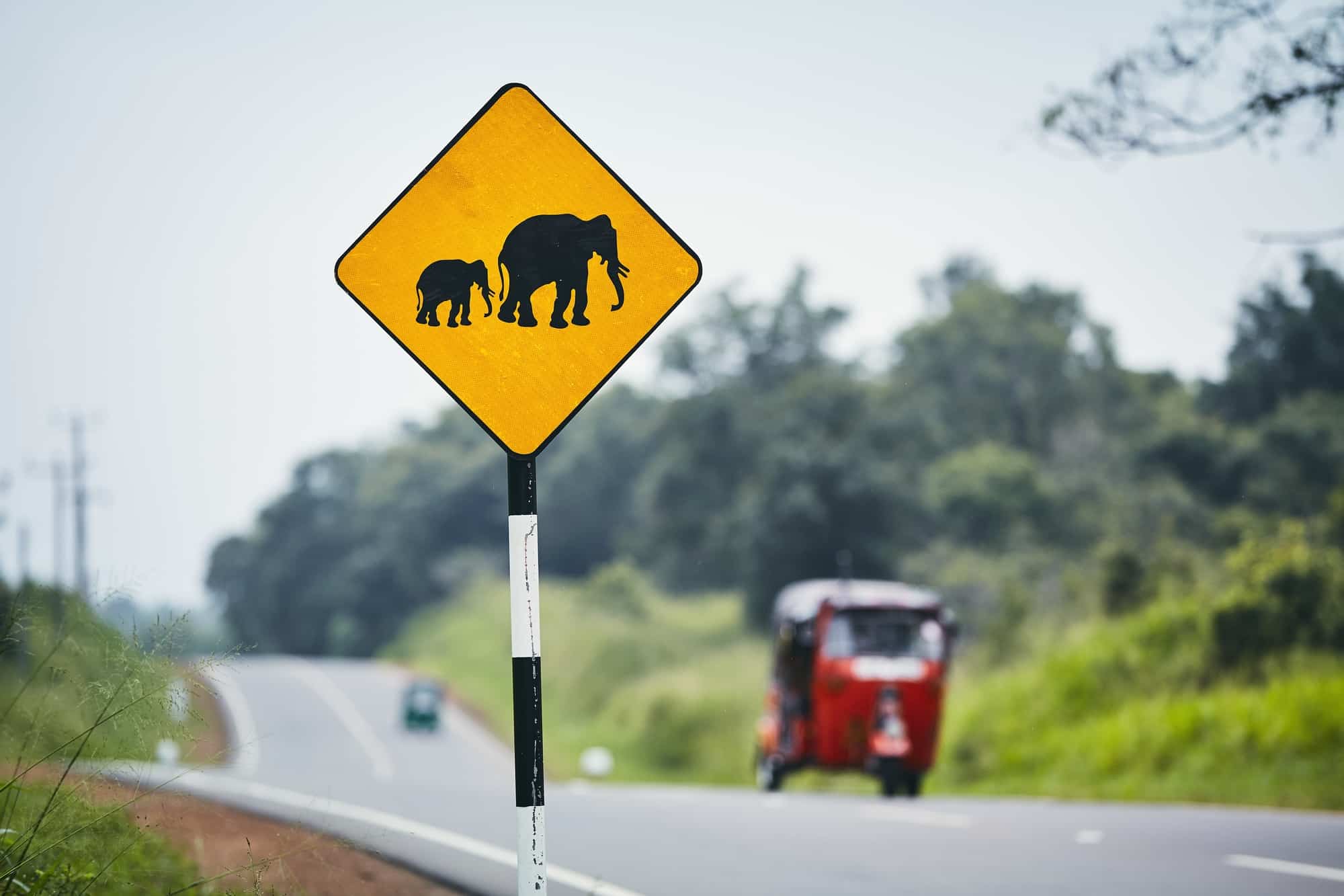 Elephant crossing warning sign