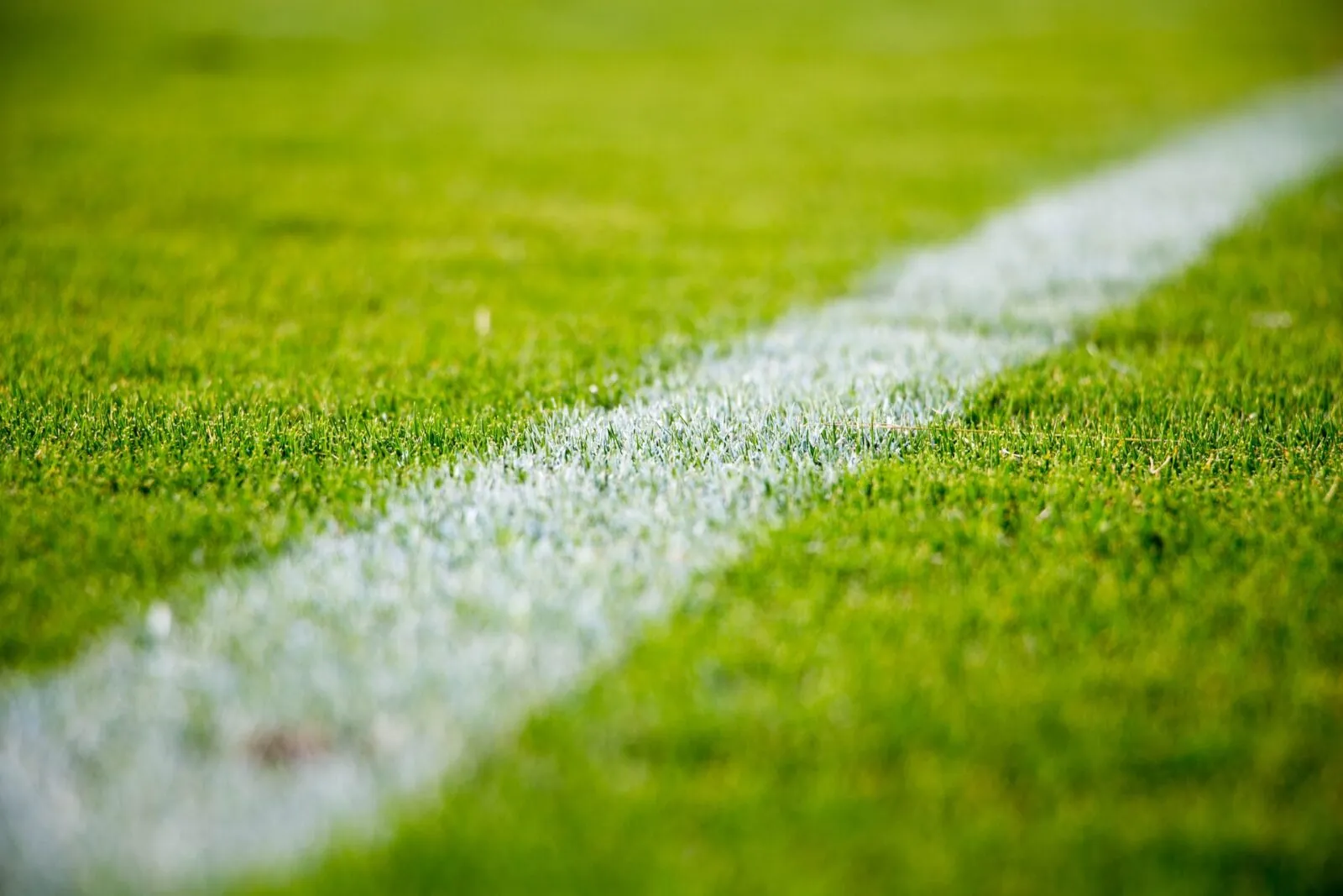 field of green grass for sports team