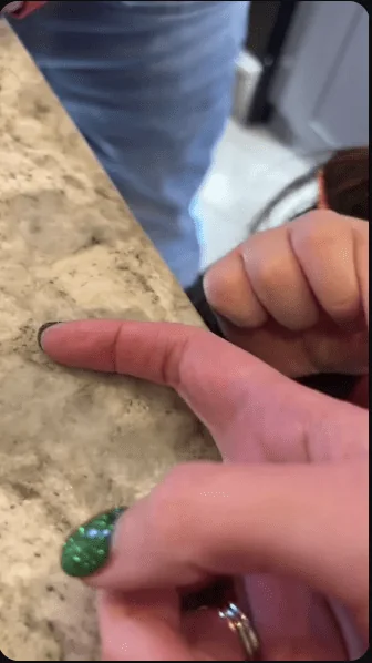 Josh has Many Talents